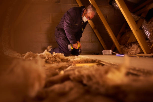 Best Basement Insulation  in Trempealeau, WI